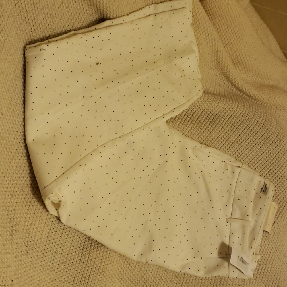 Dress pants